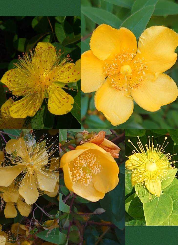 1625310882637_thum_698456_2021