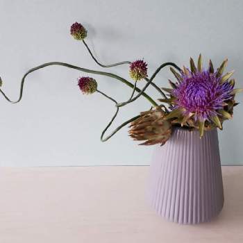 アリウム丹頂 の投稿画像一覧 Greensnap グリーンスナップ