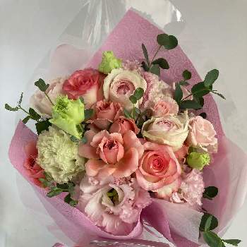 バラ ドルチェヴィータの投稿画像一覧 Greensnap グリーンスナップ