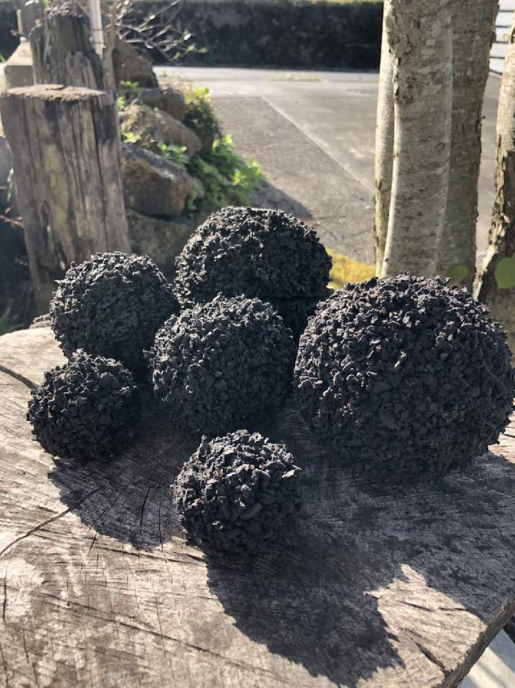 インテリアの投稿画像 By Plus Toさん 車のハンドルを成型するときに出るウレタン廃材をリサイクルして作られた新素材と観葉植物とエコとplus Toとみどりでsdgsとsdgsとサスティナブルと癒しとハイドロカルチャーとgs映えとplastic Free Julyとしぞーか勢とnporusと