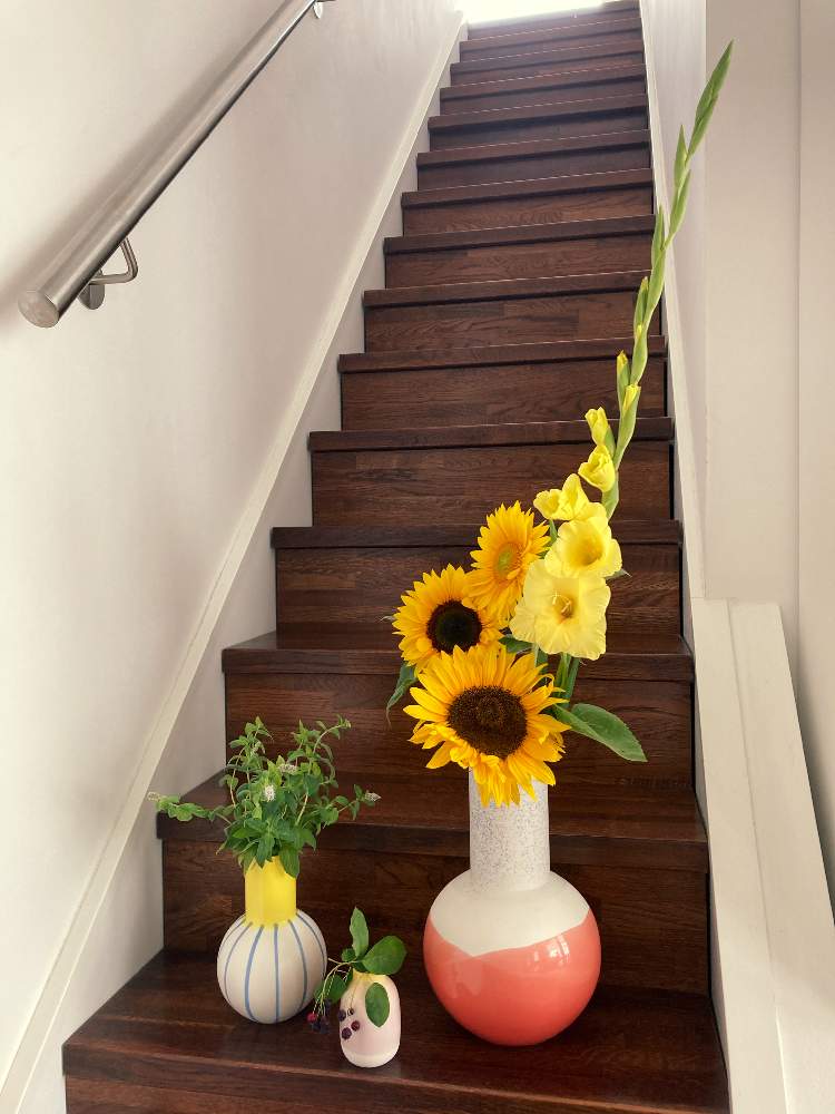 ドイツの投稿画像 By Kananaさん アップルミント と花器とグラジオラスの花と黄色い花と ミントとジューンベリー とひまわり とバラと夢clubとミュンヘンと花のある暮らしと白い花とひまわり 21月7月6日 Greensnap グリーンスナップ