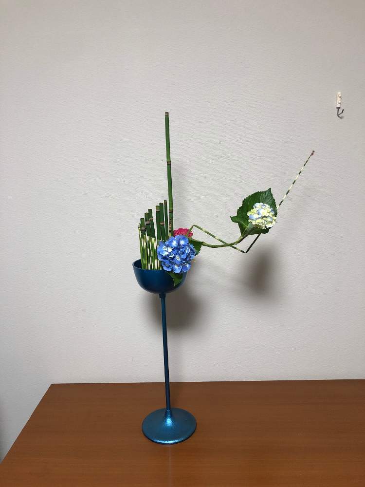 トクサの投稿画像 By いこさん シマフトイと紫陽花 あじさい アジサイと部屋とお花のある暮らしと生花といけばなと切り花と生け花とお花のある暮らしと生花 といけばなと切り花と生け花 21月7月6日 Greensnap グリーンスナップ Greensnap グリーンスナップ