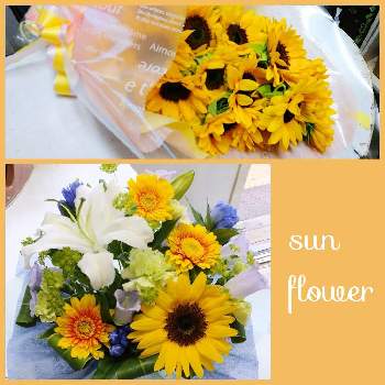 八千代市勝田台の投稿画像一覧 Greensnap グリーンスナップ