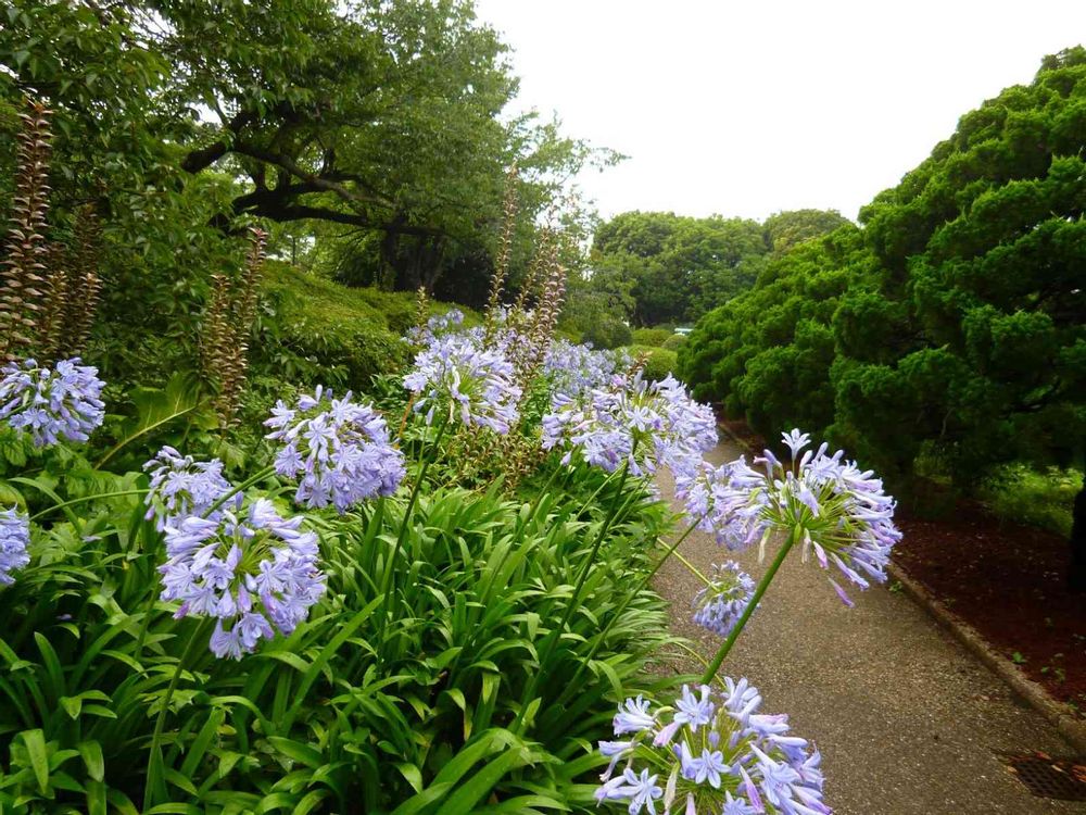 masaharuさんの港の見える丘公園への投稿