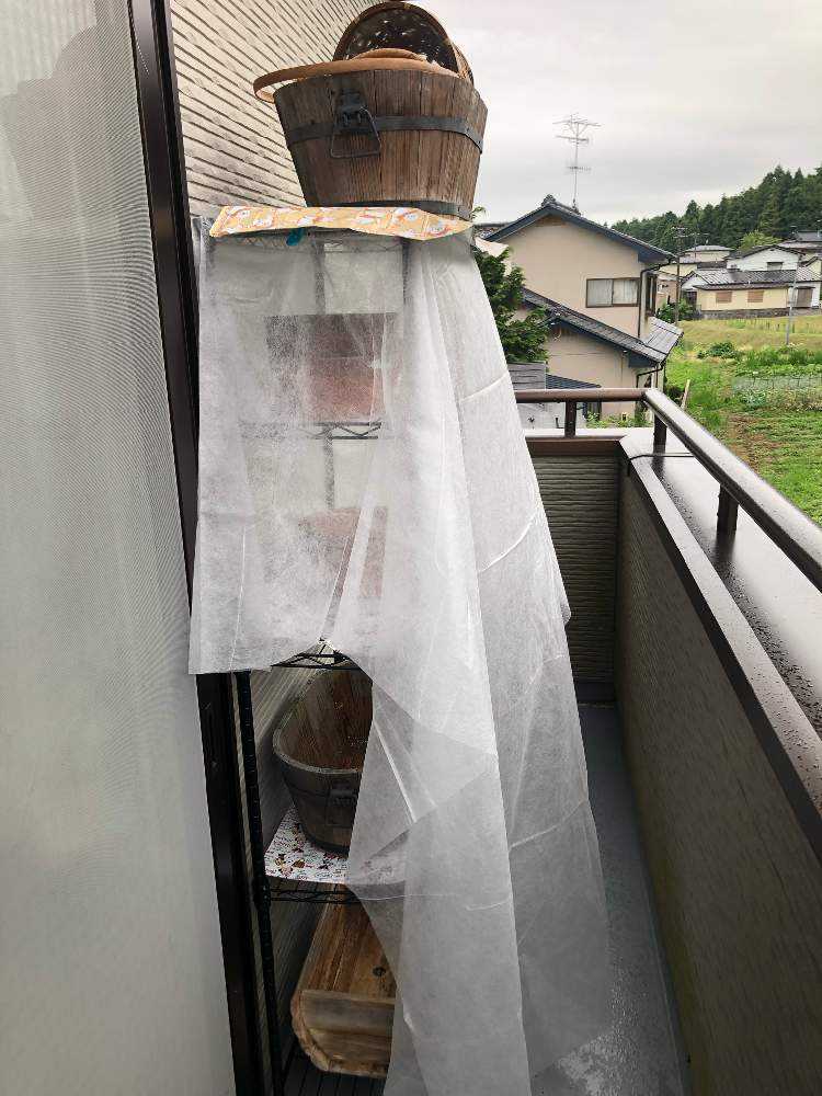 ベランダの多肉棚 多肉の快適なおうち作り Greensnap グリーンスナップ