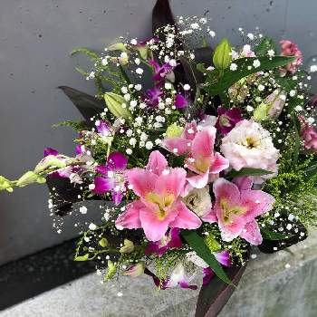 デンファレ ソニアの投稿画像一覧 Greensnap グリーンスナップ