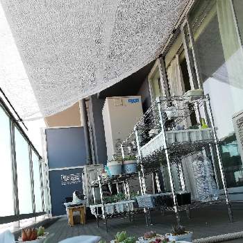 遮光ネットの投稿画像一覧 Greensnap グリーンスナップ