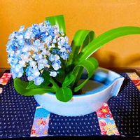 ナツメ 棗 の花言葉 花や実の特徴 効能は Greensnap グリーンスナップ ナツメ 棗 の花言葉 花や実の特徴 効能は Greensnap グリーンスナップ