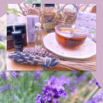 ラベンダー大好きの画像 by lavenderの香りさん | 小さな庭とラベンダー オカムラサキとファーム富田とラベンダー大好き