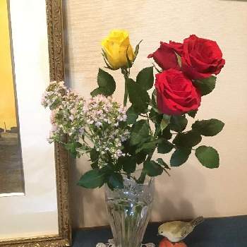 ハーブ・オレガノの画像 by うたちゃんさん | 玄関と小さな アレンジとハーブ・オレガノとGS映えとGS日和と薔薇の花