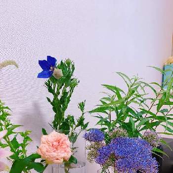 花の飾り方の画像 by niki 可愛いお花屋さんが好きさん | 名前を教えて！とキキョウと薔薇と花の飾り方とガラスの花瓶とお花のある生活と花は癒やし♡と切り花