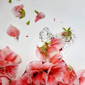 葉菜桜花子さんのイラストに花びら乗せて作りました の投稿画像一覧 Greensnap グリーンスナップ
