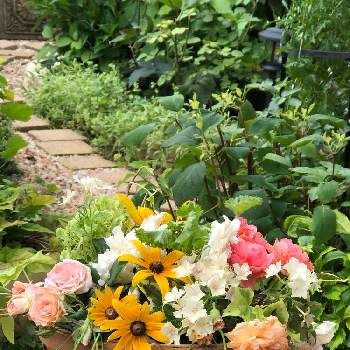 バスケットアレンジメントの画像 by Rikasgardenさん | 小さな庭とルドベキアとアナベルとバフビューティーとかおりかざりとフロックス クリームブリュレとアリスター・ステラ・グレイと花のある空間と薔薇愛同盟とバスケットアレンジメントとおうち園芸とミニアレンジとアレンジと今年のお気に入りとはなあそびと色遊びと花のある暮らしとばら 薔薇 バラとバラのアレンジメント