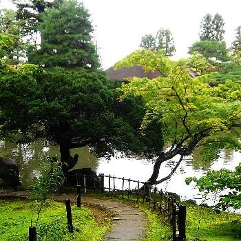 苔のある風景の画像 by *✿.吏禾.✿*さん | お出かけ先と苔のある風景と雨の薬草園