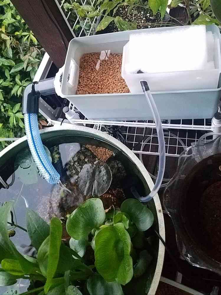簡単DIYで自作濾過装置を作る｜?GreenSnap（グリーンスナップ）