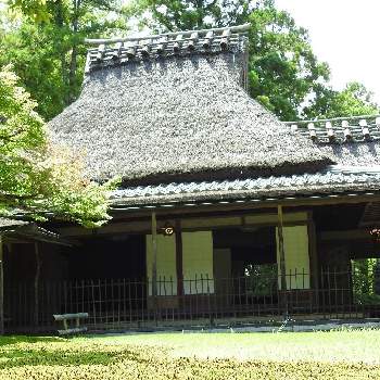 奈良公園⛲の画像 by まっさんno.1さん | お出かけ先と奈良公園⛲と幻想的と茅葺き屋根とGS映えとウオーキングと茶室と吉城園と綺麗な苔庭
