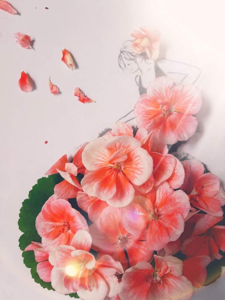 お花のドレスの投稿画像 By まりりんさん おうち園芸と葉菜桜花子さんのイラストに花びら乗せて作りました 21月7月17日 Greensnap グリーンスナップ
