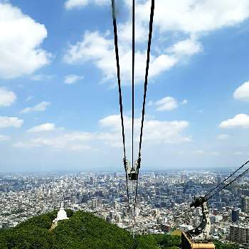 藻岩山の投稿画像一覧｜🍀GreenSnap（グリーンスナップ）