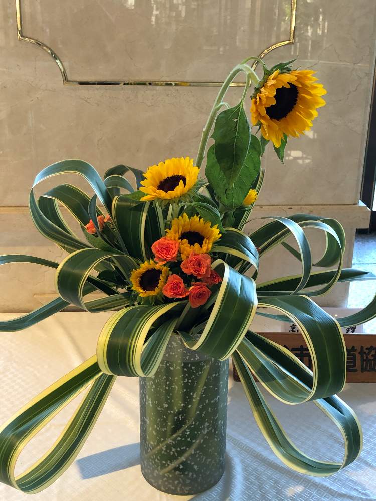 ミニバラの投稿画像 By チャコにゃんさん ニューサイランとミニヒマワリとネコ好きとガーデニング大好きとおうちde菜園とおうち園芸と花のある暮らし 21月7月18日 Greensnap グリーンスナップ