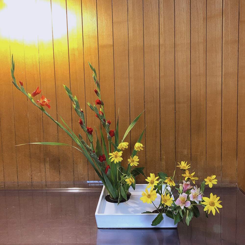 生け花の投稿画像 By みやさん 草月と草月流と生け花初心者とアルストロメリアとグラジオラスと生け花と草月と草月流と生け花初心者 21月7月18日 Greensnap グリーンスナップ Greensnap グリーンスナップ