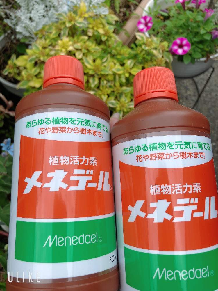 メネデール製品モニター当選｜????GreenSnap（グリーンスナップ）