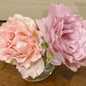 せせらぎの画像 by 紗弥っちさん | ラ・マリエとせせらぎと花のある暮らしとばら バラ 薔薇