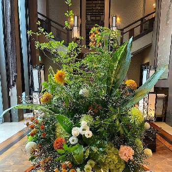 ピンポンマム　ピンポン菊の画像 by mimikomamaさん | お出かけ先とピンポンマム　ピンポン菊とフラワーアレンジメントと生け花と季節の花とアレンジメント