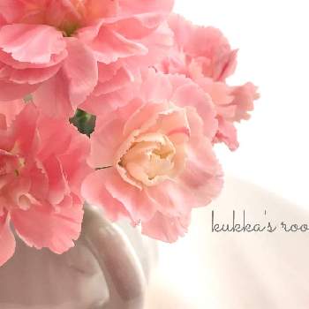花瓶合わせの画像 by kukkaさん | 部屋とカーネーションと逆光とピンクの花と癒しと切り花を楽しむと花を飾ると穏やかな心ときれいな色とナチュラルスタイルと花のある暮らしと花瓶合わせとかわいいな♡と優しい色と切り花