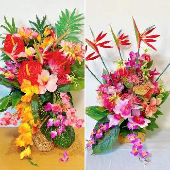 100均造花の投稿画像一覧 Greensnap グリーンスナップ