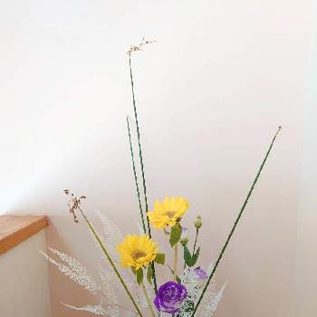 ほりーいけばなの画像 by ほりーさん | 階段/廊下とトルコキキョウとヒマワリとウラジロとフトイと盛花とほりーいけばなとお稽古と自由花といけばなと花のある暮らし