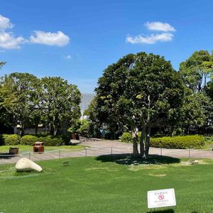 屋上庭園,夏の風景,お出かけ先の画像