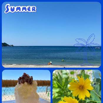 日本海の画像 by ゆきさん | 黄色の花と日本海
