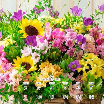 スプレー咲きの画像 by イノチオ精興園 e-mumshopさん | 部屋とスプレーキク(スプレーマム)とスプレーマム 黄と菊マムマムと切り花を楽しむとイノチオ精興園とスプレーマム。とアレンジとスプレー咲きとカレンダーと花のある暮らしとマム♪とキク❁と切り花
