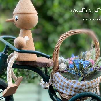 シリカゲルドライ♪の画像 by ココアさん | ドライフラワーとグリーンのある暮らしとシリカゲルドライ♪と楽しみ♡とナチュラルスタイルと花のある暮らし
