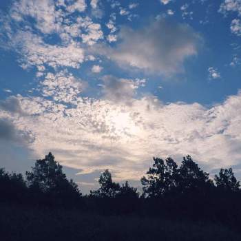 今朝の散歩道の画像 by m＆oさん | お出かけ先と水辺の風景と雲撮りと水元公園と雲仲間と空撮りと今朝の散歩道