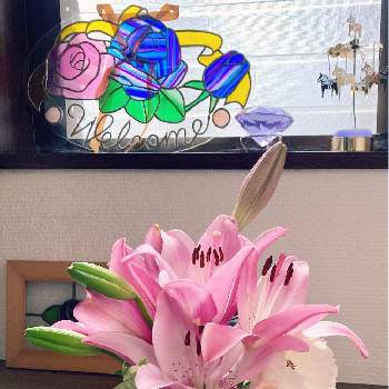 薔薇　ロココの画像 by margaritaさん | エントランスと癒しの時間と薔薇　ロココと今日の一枚とおきにいりといやし♡とスカシユリ！と今日の花と小さな幸せ♡と花のある暮らしと大好き♡︎ʾʾと薔薇♪とかわいい♡♡と今日の草木