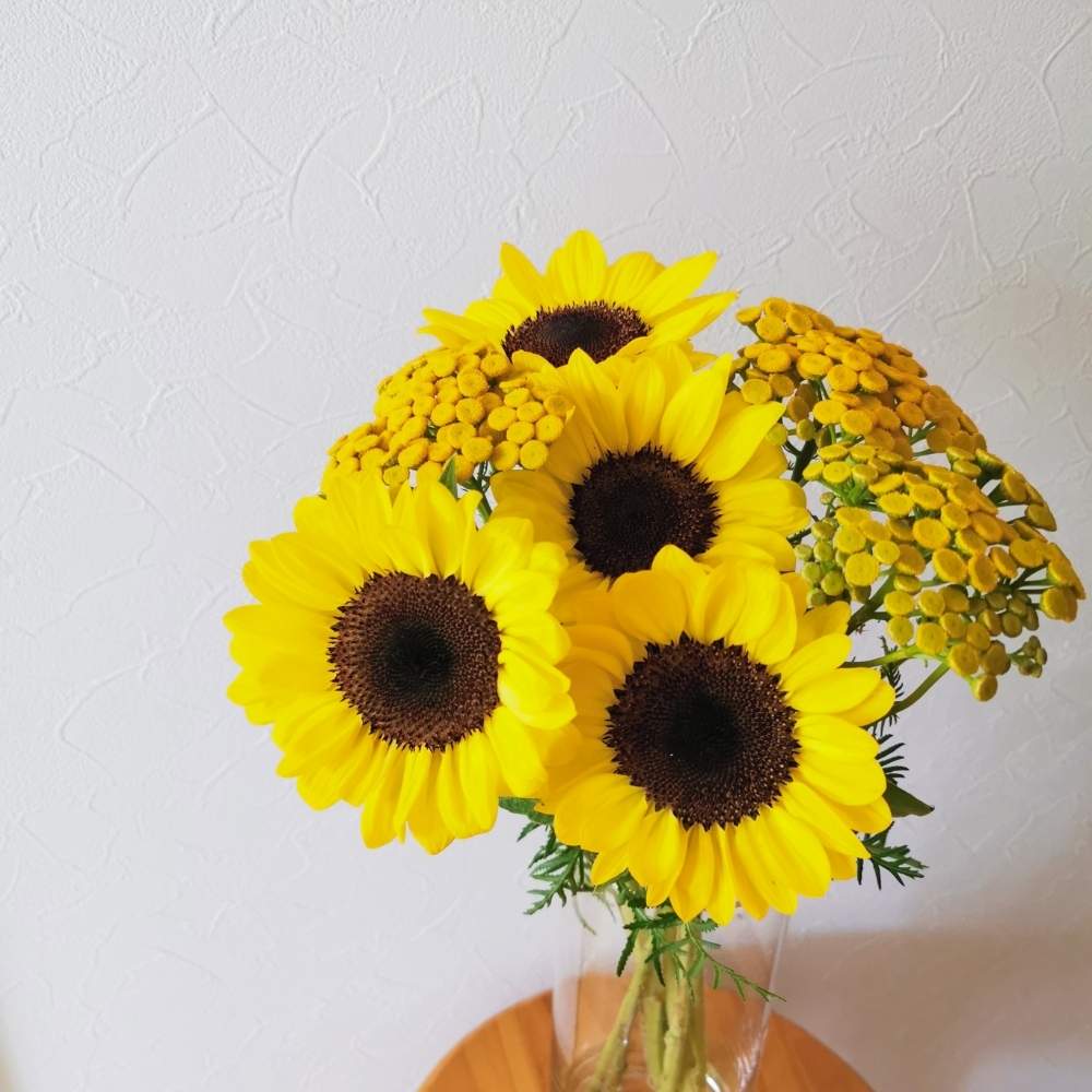 ヒマワリの投稿画像 By Emmaさん タンジーと切り花と生花と花のある暮らしと夏を彩るひまわり21と切り花と生花と花のある暮らしと夏を彩るひまわり21 21月8月6日 Greensnap グリーンスナップ Greensnap グリーンスナップ