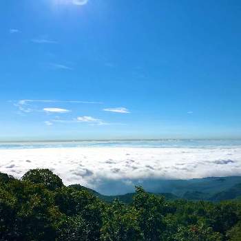 雲海の画像 by K2さん | お出かけ先と山pic⛰とわりと好きシリーズ❣️と雲海と大自然はいいなぁ〜❣️と大自然大好き仲間❣️
