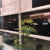 シュロチクの育て方 水やりや植え替え 剪定の方法は Greensnap グリーンスナップ