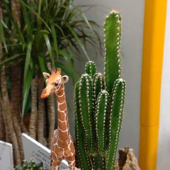 Dadfpmh61h9tr Cloudfront Net 21 08 07