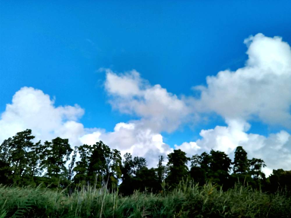 お出かけ先の画像 by m＆oさん | お出かけ先と雲撮りと水元公園と昨日の１枚と雲仲間と空撮り
