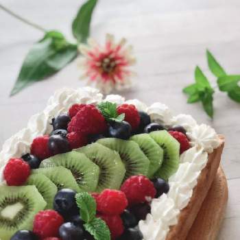 ダイソーの種からの投稿画像一覧 Greensnap グリーンスナップ