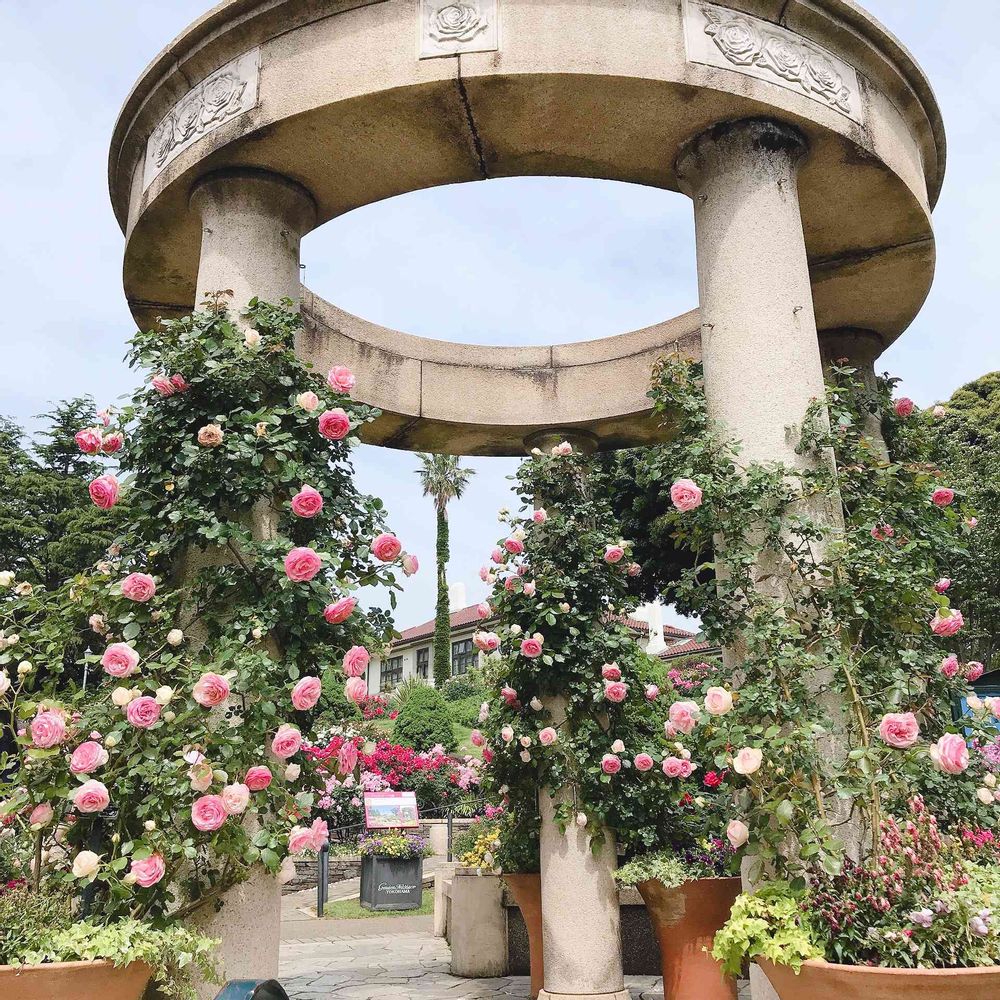 Jill ♡さんの港の見える丘公園への投稿