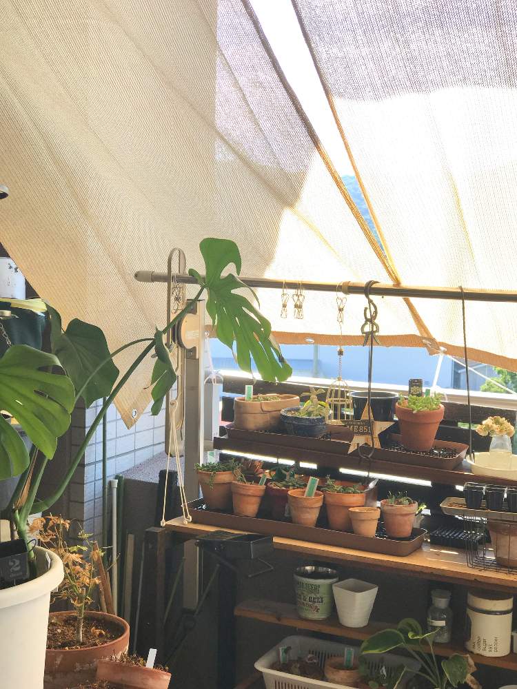 狭いベランダの日よけサンシェード Greensnap グリーンスナップ