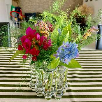 テーブルコーディネートの投稿画像一覧 Greensnap グリーンスナップ