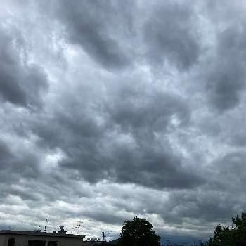 夏空の画像 by gurichannel(ぐりちゃんねる) さん | バルコニー/ベランダと夏空と台風一過とイマソラ