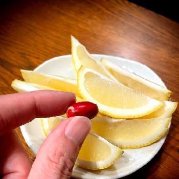レモン,ミラクルフルーツ,初めての収穫,実がついた！,ミラクルの画像