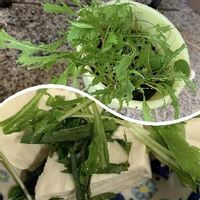 水菜の育て方 種まき時期や日当たり加減は ベランダや室内でも栽培できる Greensnap グリーンスナップ 水菜の育て方 種まき時期や日当たり加減は ベランダや室内でも栽培できる Greensnap グリーンスナップ
