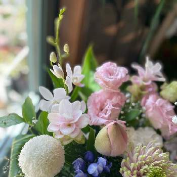 ピンポンマム　ピンポン菊の画像 by アクア・ブルームさん | 部屋と胡蝶蘭ミディ ファレノとリシアンサスとディスバッド マムとピンポンマム　ピンポン菊とクルクマと送別のお花とお誕生日ギフトとお供えとつくば花屋とアクアブルームと花を飾るとオーダー受付中と今日のお花と元気もらえると癒し空間とウィークエンドフラワーと開店祝いとお祝い花と花のある暮らしとおしゃれ❤️とお盆と大人かわいい♪とつくばフラワーショップと花束