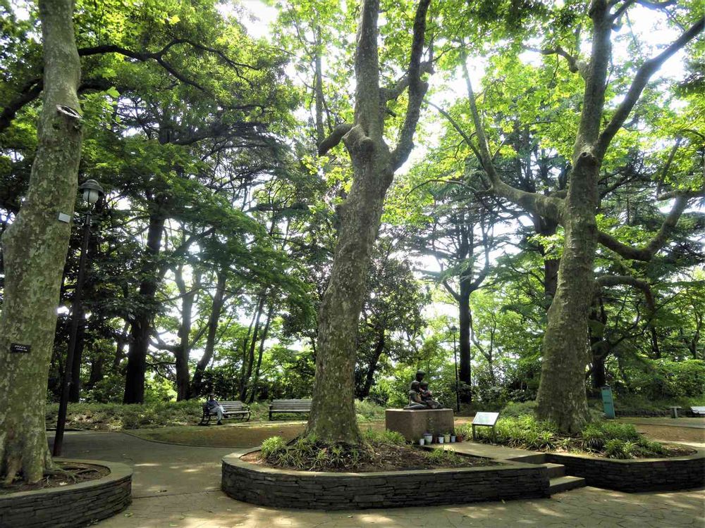 まるちゃんさんの港の見える丘公園への投稿